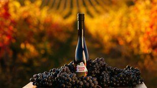 100191 фото
